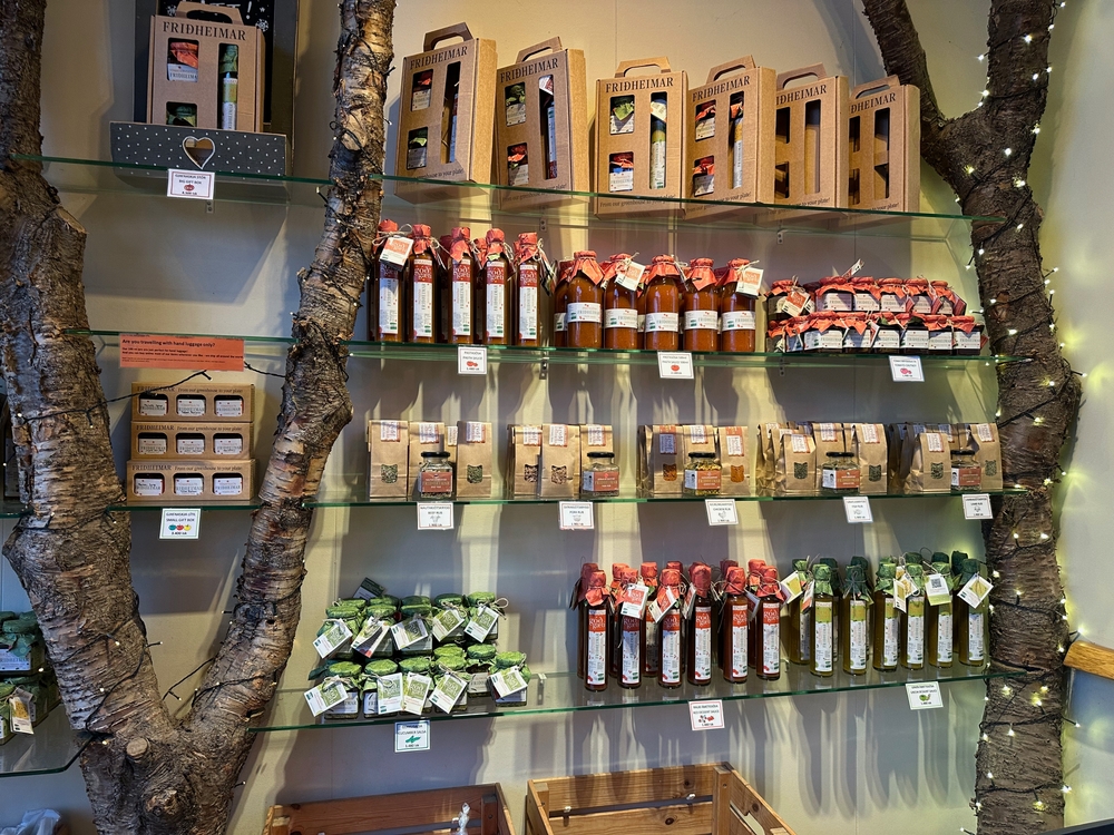 Яка вартість життя в Ісландії? Огляд цін на оренду, продукти, комунальні послуги та необхідний рівень доходу.