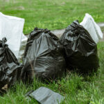 Цвітна капуста і груші — лідери харчових відходів в Ірландії